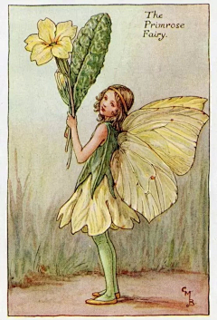 爱画画的小呆毛采集到Cicely Mary Barker