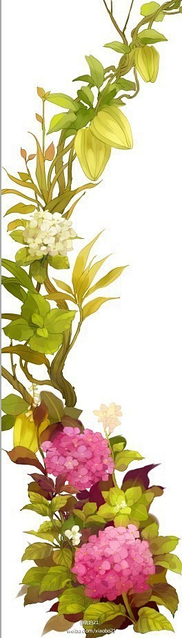 画了绣球花，上面的是杨桃 by：晓泊