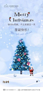 #圣诞节#
。.。✨希望快乐&美丽
❄︎   ❄️不止圣诞这一天
   ‍♀️仙女们圣诞快乐
                         ʚ✨ɞ ​​​​