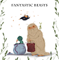 Fantastic Beasts Tribute : Illustrations series/ Fan art