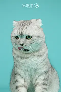 行走的表情包，严肃的大脸！ 哈哈～  徐度时光——棚拍系列