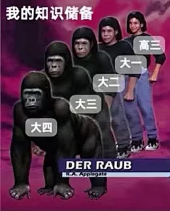 大学生表情包，我的大一大二大三大四