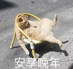 你的表情包来了。。。。