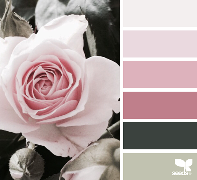 rose tones