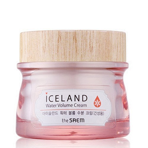 冰岛保湿面霜 （干性肌肤用）