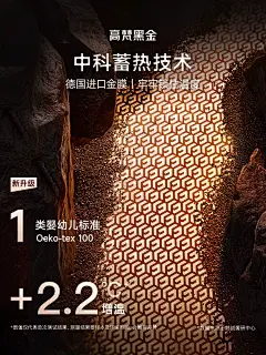 【高梵黑金鹅绒服】先锋3.0五格羽绒服男女黑色高端冬季加厚外套-tmall.com天猫