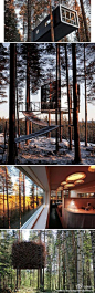 【瑞典Harads树屋旅馆】Tree hotel坐落在瑞典北部的美丽村庄Harads，是一家与众不同的树屋旅馆，为入住的客人提供精心设计的树屋，而非普通宾馆的标间。多家建筑公司参与了Tree Hotel的设计，推出了多款设计独特的住房。这些设计新颖的住房皆悬挂于树上。