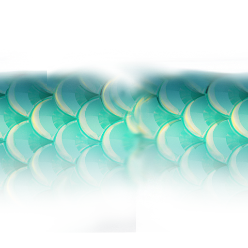 cwh_trail_com_012
