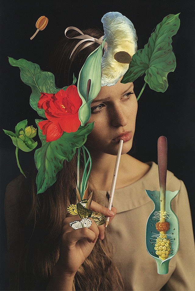 Ashkan Honarvar　｜　拼贴...