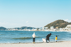 正片爹地采集到海边项目