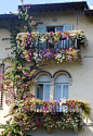 140_balcony-flowers-outdoor-flowers