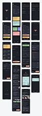 深色风格机票预定app ui .fig素材下载 - 豆皮儿UI