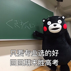 凉风子采集到霓虹·KUMAMON