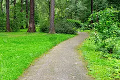 步行土路在一个美丽安静的绿色公园与高大的树木