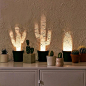 Cactus lighting by AlmondesignCactus lighting by Almondesign