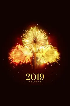 2019年灿烂烟花贺卡矢量素材
