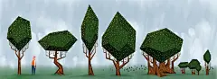 花卉插画系列图集丨创意叶子草本花卉绘画/抽象植物绘画临摹作品/水彩iPad手绘