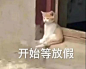 可爱喵喵表情包来啦。 ​​​​