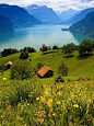 【琉森湖·瑞士】你梦想的那些地方里是不是有一个是这样：群山为伴，面朝湖泊，花草爬满山坡。垂钓划船，看牛羊下山，静候日出日落。