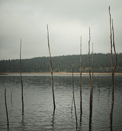 Linux麟采集到cinemagraph