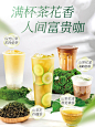 山茶花2