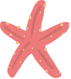 Starfish Vacations Image Travel Icon