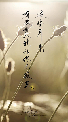 Tianzheng采集到书法