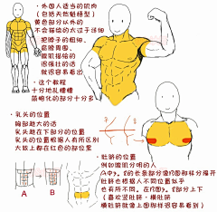 YnvMA8YR采集到教程类