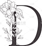 字母,植物群,植物学,华丽的,字母表次序,信函,婚礼,草,花,复古