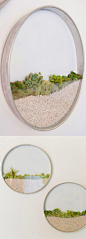 Circular Framed Planters Add Living Art to Your Walls: 