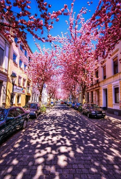 德国最美的街道~