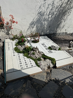 狐花花采集到灵感