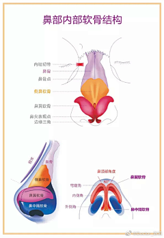 有宝盖儿的宇采集到用得上