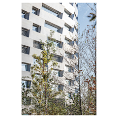 Rae0807采集到建筑