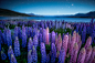 Astonishing New Zealand Landscape Photography