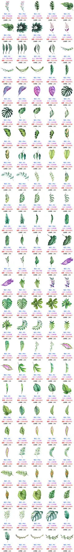 手绘水彩热带花卉植物绿色树叶木牌花环墨迹PNG+AI矢量PS设计素材-淘宝网