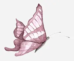 紫红色蝴蝶高清素材 一只 卡通 彩色蝴蝶免抠 手绘 炫彩蝴蝶免抠 简图 紫红色的 翅膀 蝴蝶 蝴蝶png 蝴蝶免抠 蝴蝶免抠png 触角 免抠png 设计图片 免费下载