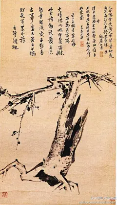 #清初四僧#【 清 朱耷 《古梅图》 】轴，纸本，96×55cm，北京故宫藏。 图绘一株古梅树，根部无土，树心中空，旁枝上数朵梅花盛开，显示出顽强的生命力。根据画中的自题诗：“梅花画里思思肖”而知，此图是朱耷仿宋遗民画家郑思肖画兰不着土、以暗示国土为异族人所夺之意，表达了他对明朝的怀念之情。