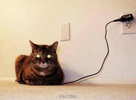 电充满了！[via Josh_Lyman...