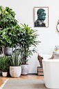 Decorate with a collection of indoor plants, art and natural baskets