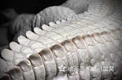 葉賀音乃蓮錦柔實采集到武器