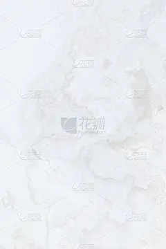 纯色墙纸上的浅灰色布局
