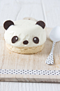 Osos panda de pannacotta