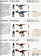 怪物猎人图鉴
