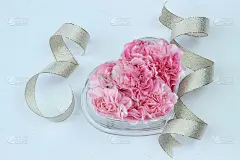 母亲节的康乃馨花束