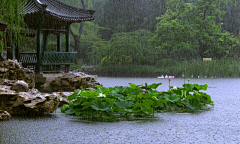 狸娘采集到实景