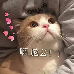 非常适合女生的喵喵表情包 快来收藏 : 非常适合女生的喵喵表情包 快来收藏