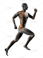x光,慢跑,男人,分离着色,白色,垂直画幅,脊柱,人类肌肉,运动员,男性