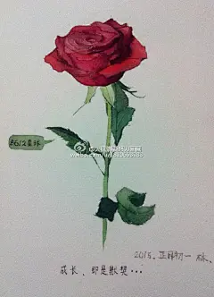 #水彩# #插画#