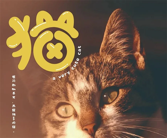 可爱萌趣！21款猫字体设计-花瓣网